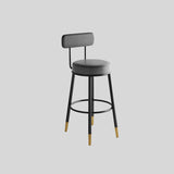 Modern High Back Bar Stool with Gold-Tipped Legs for Elegant Home Bars