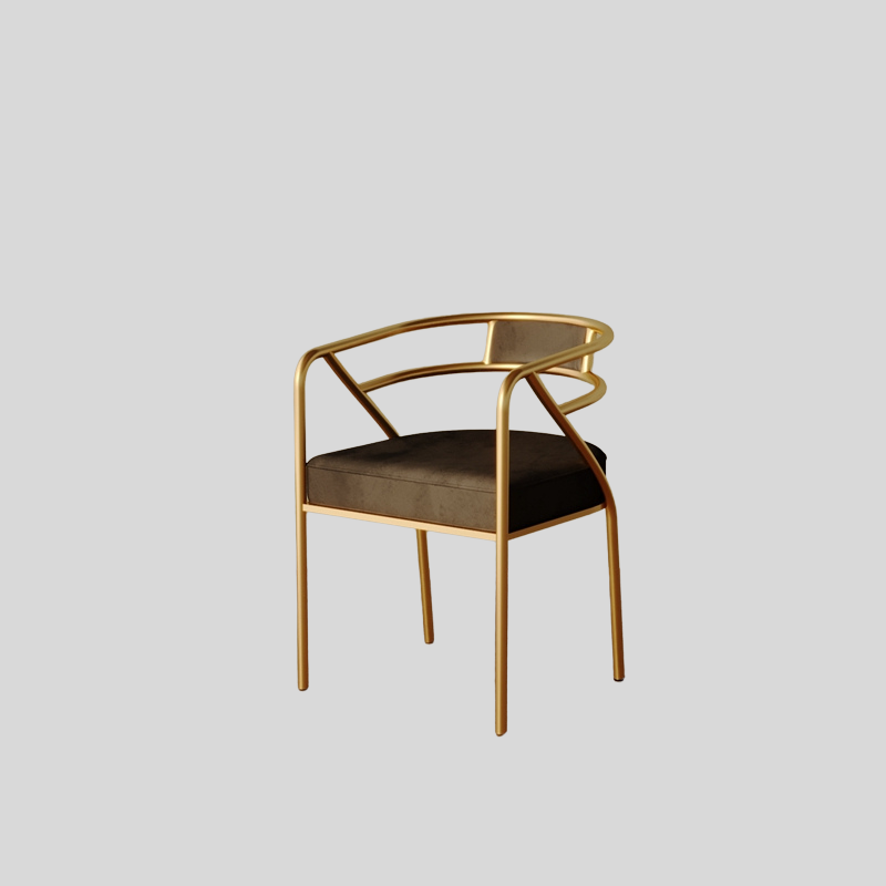 Modern Luxe Gold-Framed Dining Chair