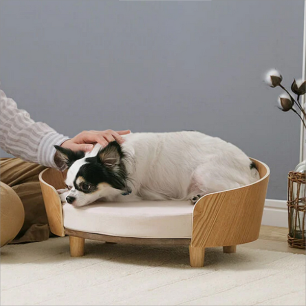 Modern Wooden Pet Bed with Detachable Cushion