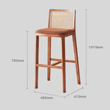 Modern Rattan and Wood Bar Stool with Cushioned Seat