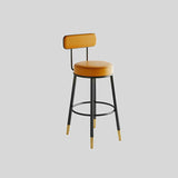 Modern High Back Bar Stool with Gold-Tipped Legs for Elegant Home Bars