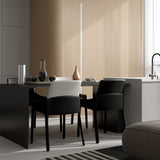Contemporary Two - Tone Dining Chair - Chic and Comfortable - StoolTopia