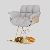 Luxury Adjustable Salon Chair – Perfect for Hair Salons & Barber Shops - StoolTopia