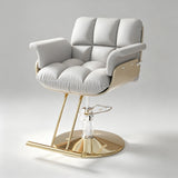 Luxury Adjustable Salon Chair – Perfect for Hair Salons & Barber Shops - StoolTopia