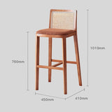 Modern Rattan and Wood Bar Stool with Cushioned Seat - StoolTopia
