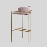 Upholstered Bar Stool with Gold Metal Frame - Velvet or Leather High Chair - StoolTopia